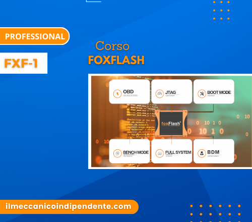 Corso foxFlash.png